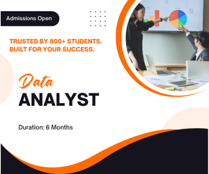 Data Analyst