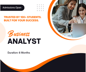 Business Analyst